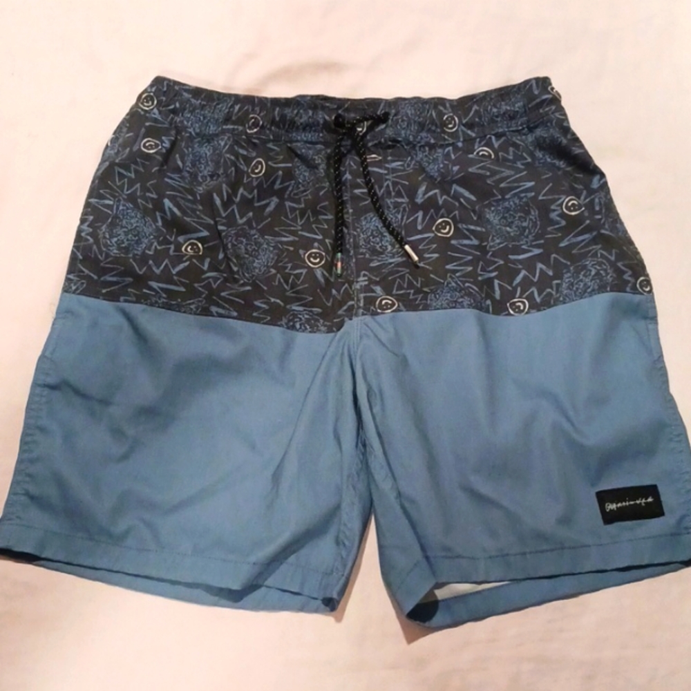 Quicksilver Men's M shorts